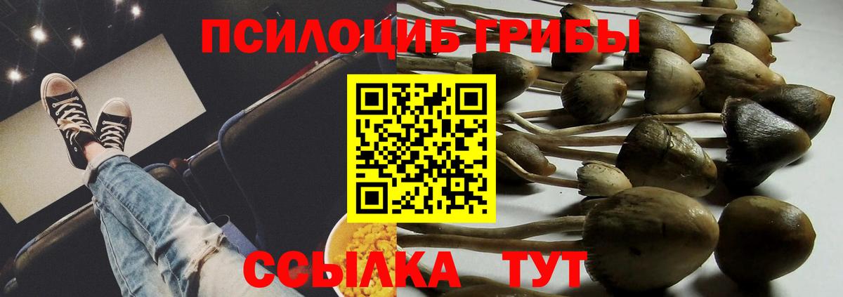 Галлюциногенные грибы GOLDEN TEACHER Белая Калитва