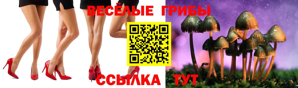 Белая Калитва  Псилоцибиновые грибы Psilocybe  Вход с VPN  Галлюциногенные грибы Magic Shrooms 
